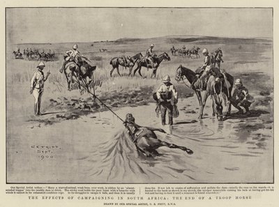 De gevolgen van campagnevoeren in Zuid-Afrika, het einde van een troepenpaard door Charles Edwin Fripp